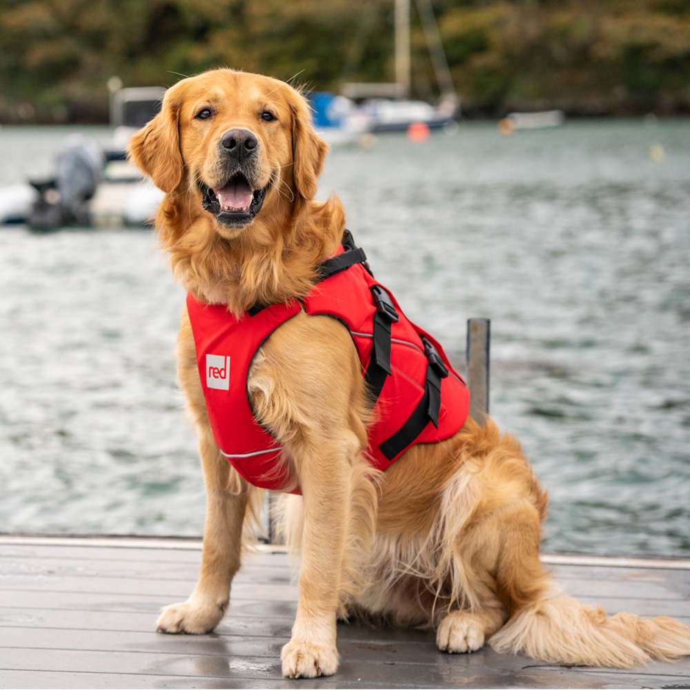 red paddle gilet de sauvetage pour chien rouge 2